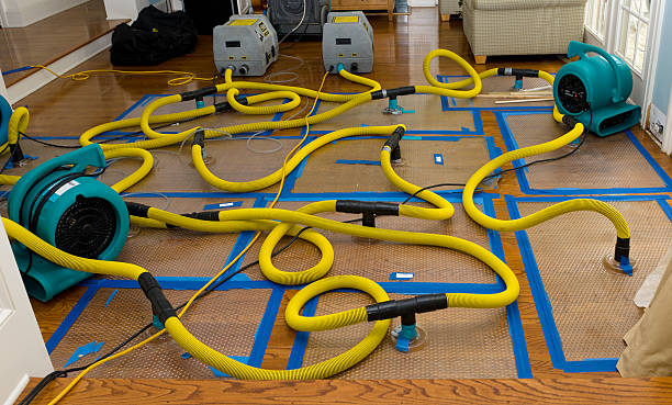 Professional Flood Damage Restoration technician working in Lewisville, WA